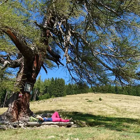 - Self-check-in 3* Zeltweg