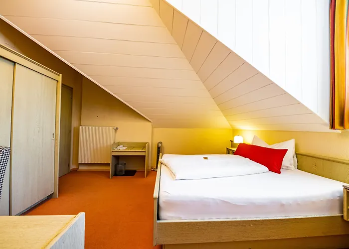 Hotel-restaurant Hubertushof 3*