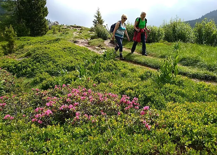 Hotel-restaurant Hubertushof