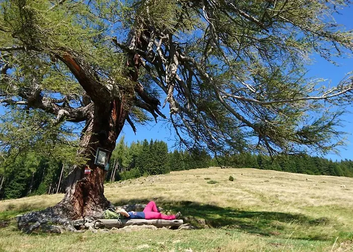 - Self-check-in 3* زيلتويج